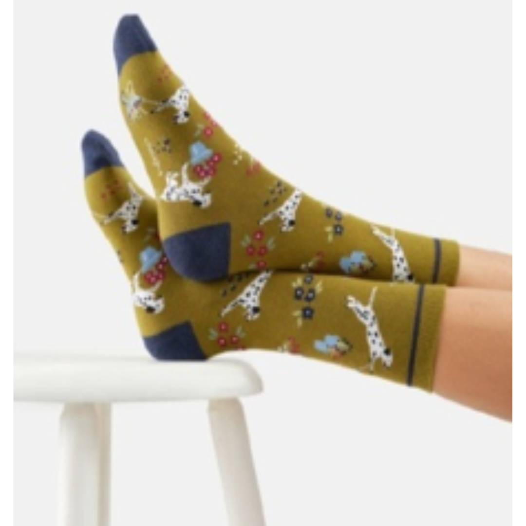 CALZE DONNA DOG DIG AND DASH | COD 8374