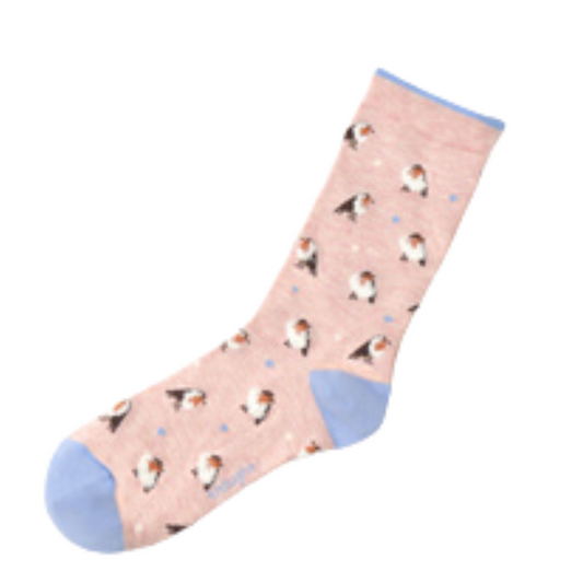 Calze Donna Box Appendibile "Fluffy Robin" |THOUGHT