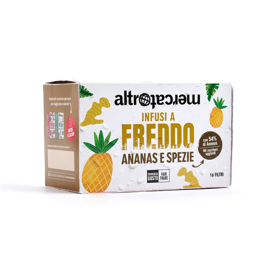 INFUSO FREDDO CON ANANAS E SPEZIE 16 FILTRI-40g | COD 7122 |