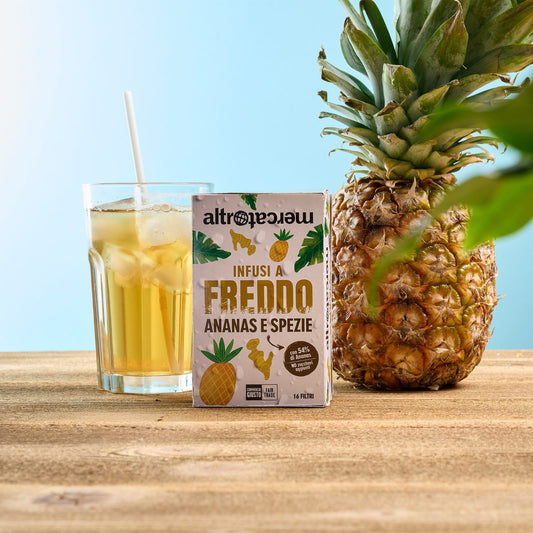 INFUSO FREDDO CON ANANAS E SPEZIE 16 FILTRI-40g | COD 7122 |