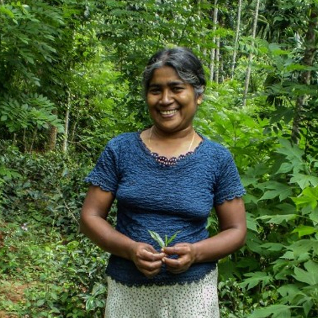 Donne artigiane dello Sri Lanka coltivano il tè per bomboniere solidali