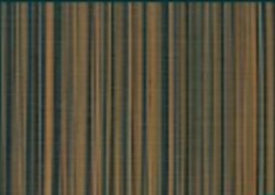 TOVAGLIETTA BAMBOO ARANCIO/NERO BAMBOO COTONE | COD 6039