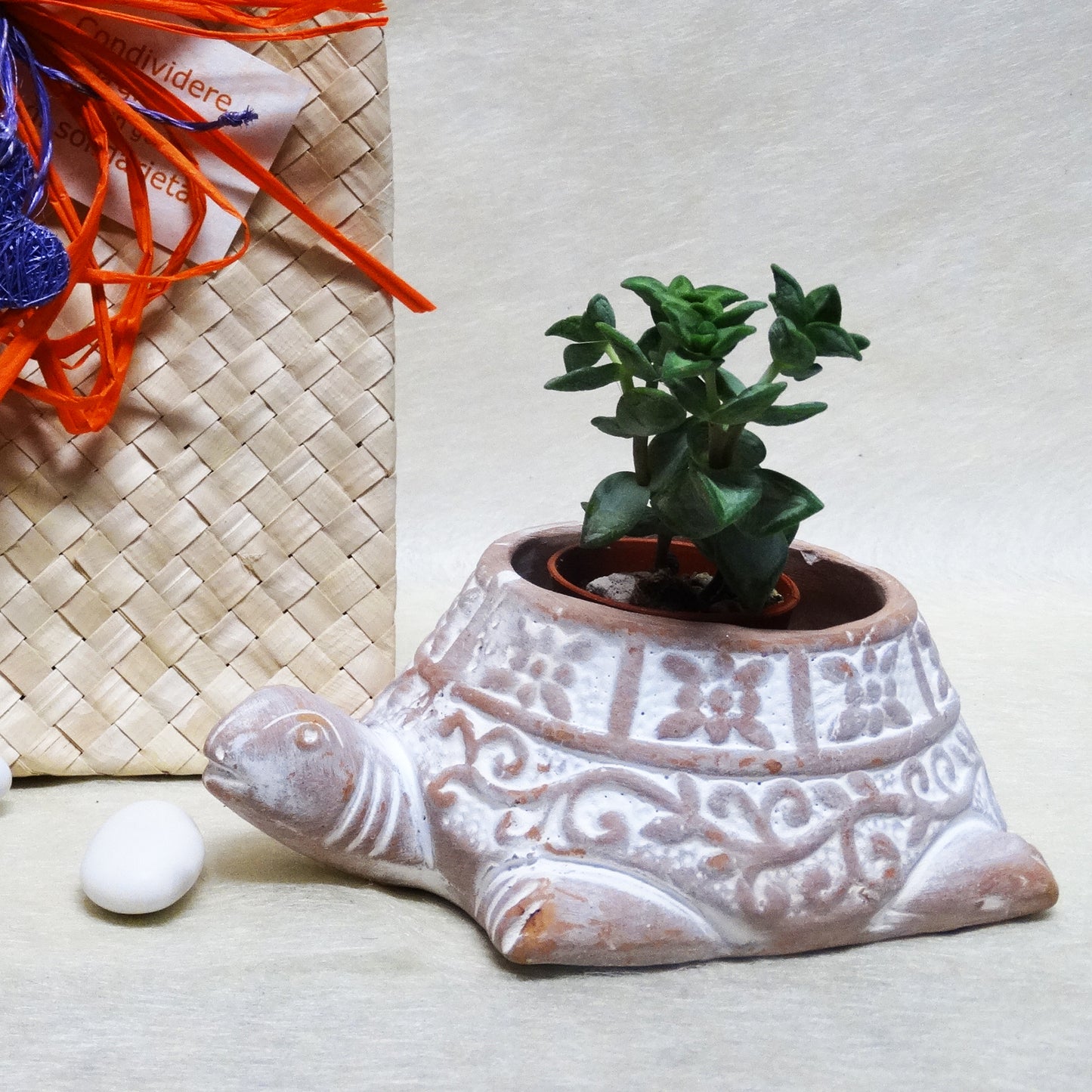PORTAPIANTINA TARTARUGA IN TERRACOTTA | COD 1951