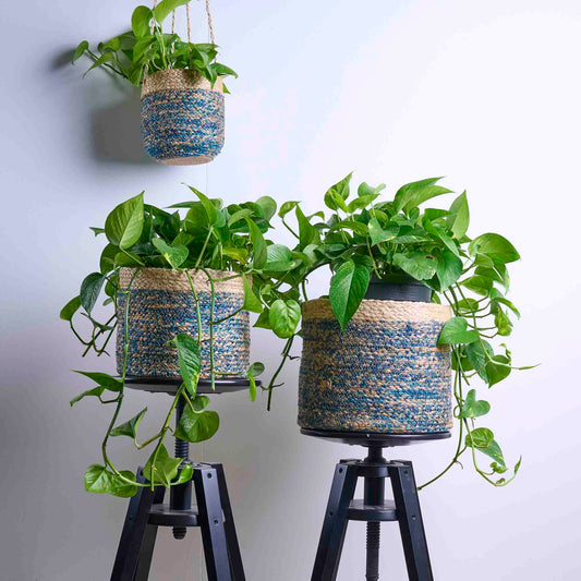 CESTO SIKA APPENDIBILE BRAIDED BLU IN JUTA | COD. 7030