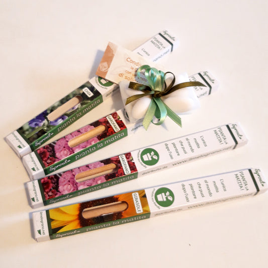 Bomboniera solidale matita che germoglia per battesimo, comunione, cresima