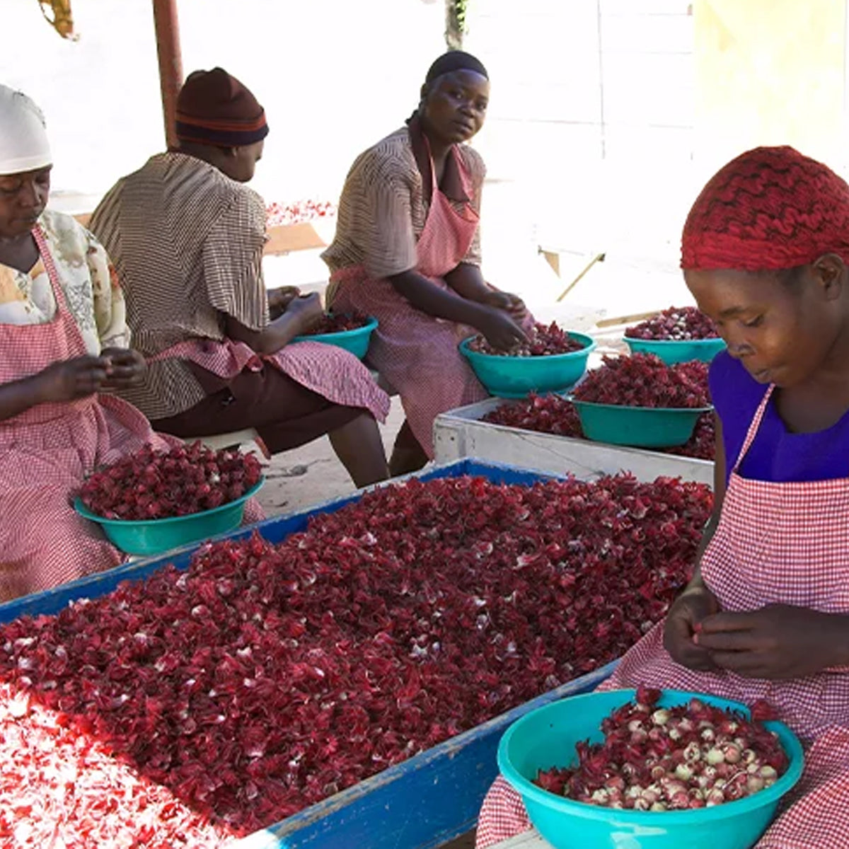 COFANETTO VISO - CLIMATE JUSTICE- IBISCO- ROSA CANINA | COD 6711