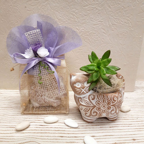 PORTAPIANTINA GATTINO IN TERRACOTTA | COD 44866