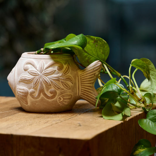 vasetto portapiantina in terracotta pesce Altromercato