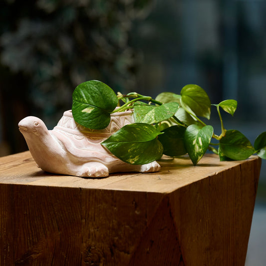 MINI VASETTO TARTARUGA IN TERRACOTTA | COD 5354