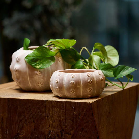 vasi portapiante in terracotta a forma cactus artigianato bengalese. decorativi etici