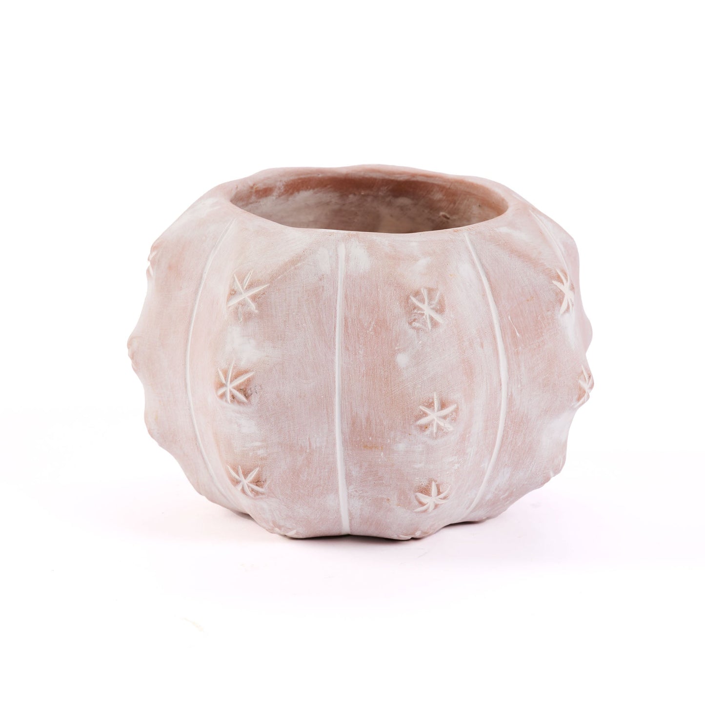 VASETTO CACTUS MEDIO IN TERRACOTTA | COD 5365