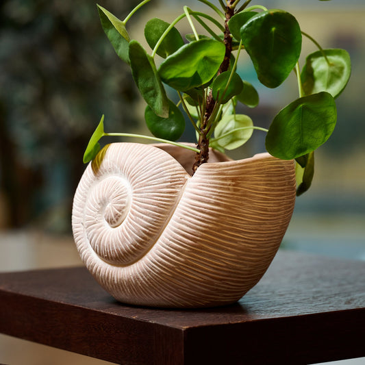 VASO CONCHIGLIA IN TERRACOTTA | COD 5343