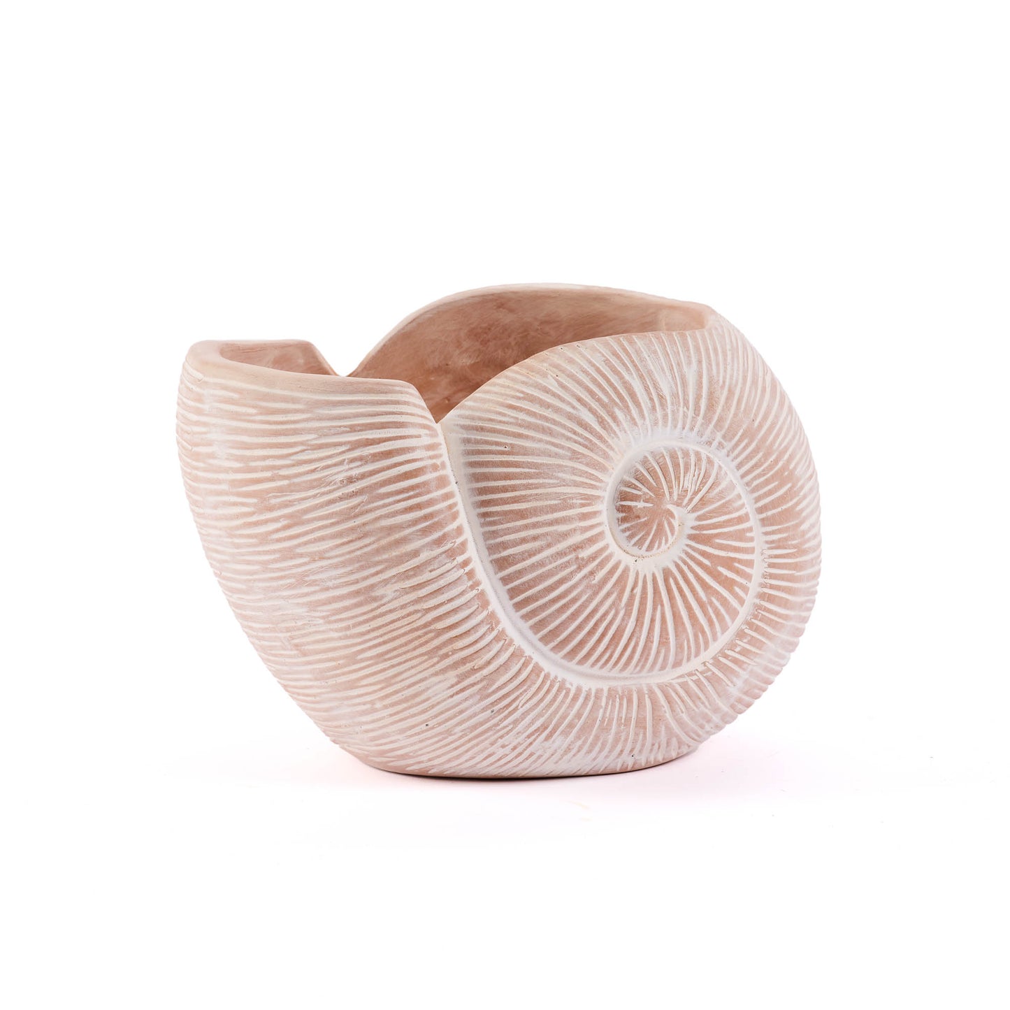 VASO CONCHIGLIA IN TERRACOTTA | COD 5343