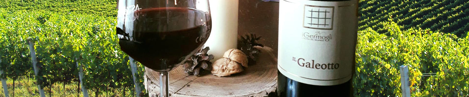 Prenotazione Vini "I Germogli"