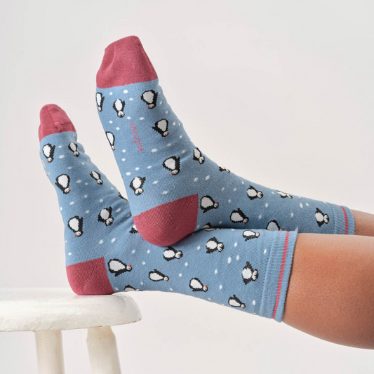 CALZINI DONNA SNOWY PENGUIN STONE BLUE THOUGTH| COD 7499