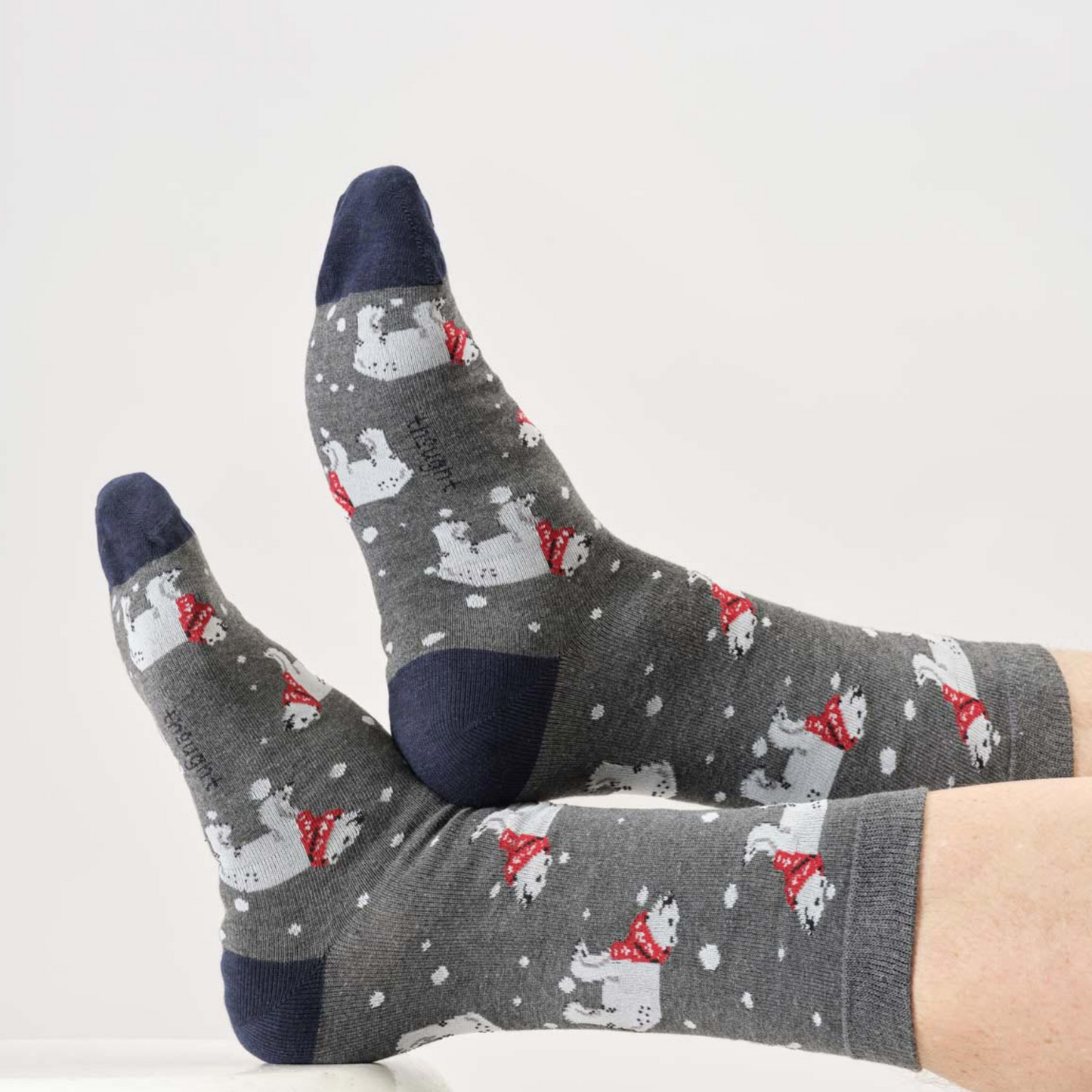 BOX REGALO CALZINI UOMO CHRISTMAS ANIMALS THOUGTH | COD 7585