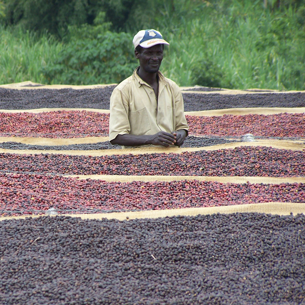 Piccoli produttori di caffè biologico in Etiopia e America Latina