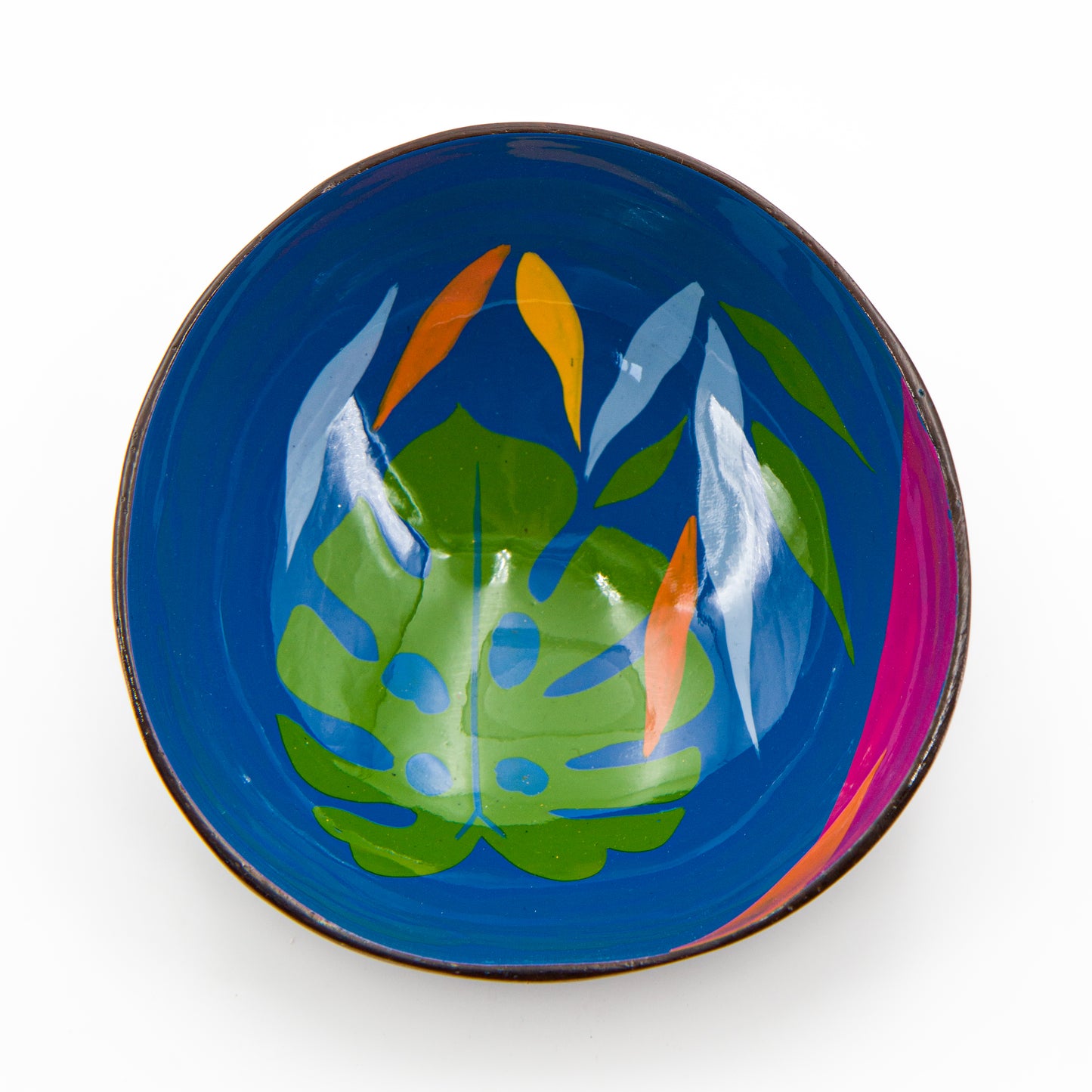 Interno ciotola Monstera azzurra di guscio di cocco decorata a mano da Craft Link Vietnam. per un regalo veramente solidale