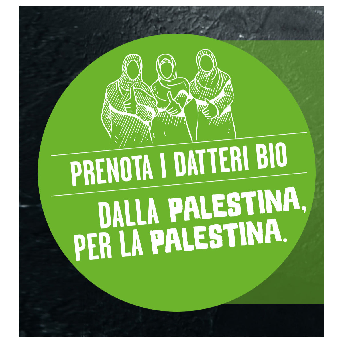 DATTERI MEDJOUL AL NATURALE - BIO - PALESTINA | COD. 1293 | 1 KG