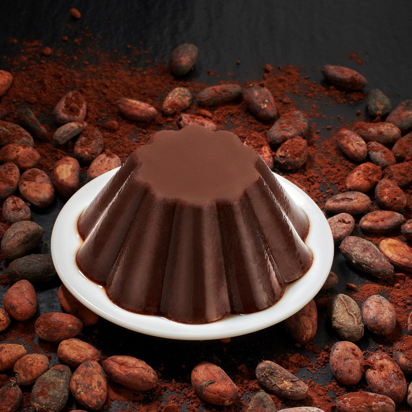 PREPARATO PER BUDINO AL CACAO - BIO | COD. 00000417 | 2x100 g