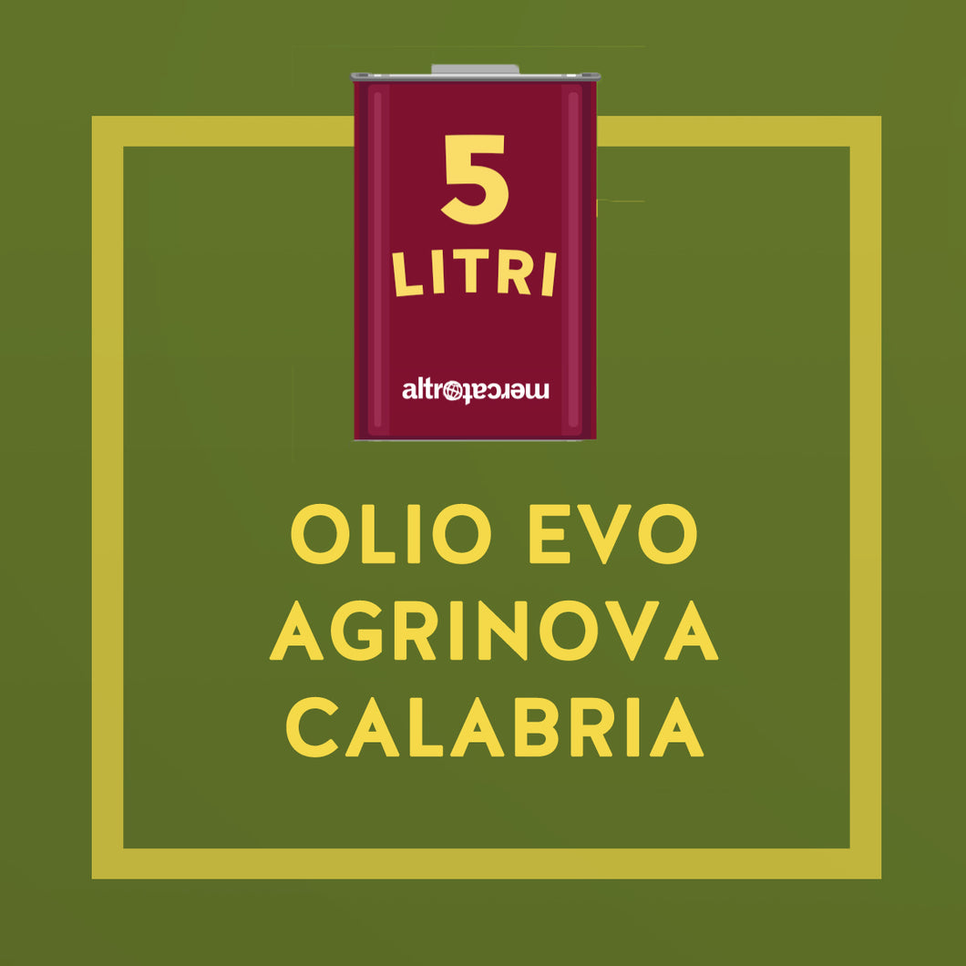 OLIO EXTRA VERGINE D'OLIVA IN LATTA AGRINOVA | COD 626 | 5lt