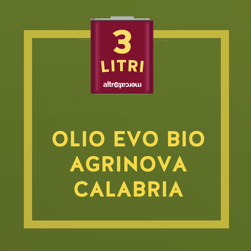 OLIO EXTRA VERGINE D'OLIVA LATTA BIO AGRINOVA  | COD 857 | 3lt