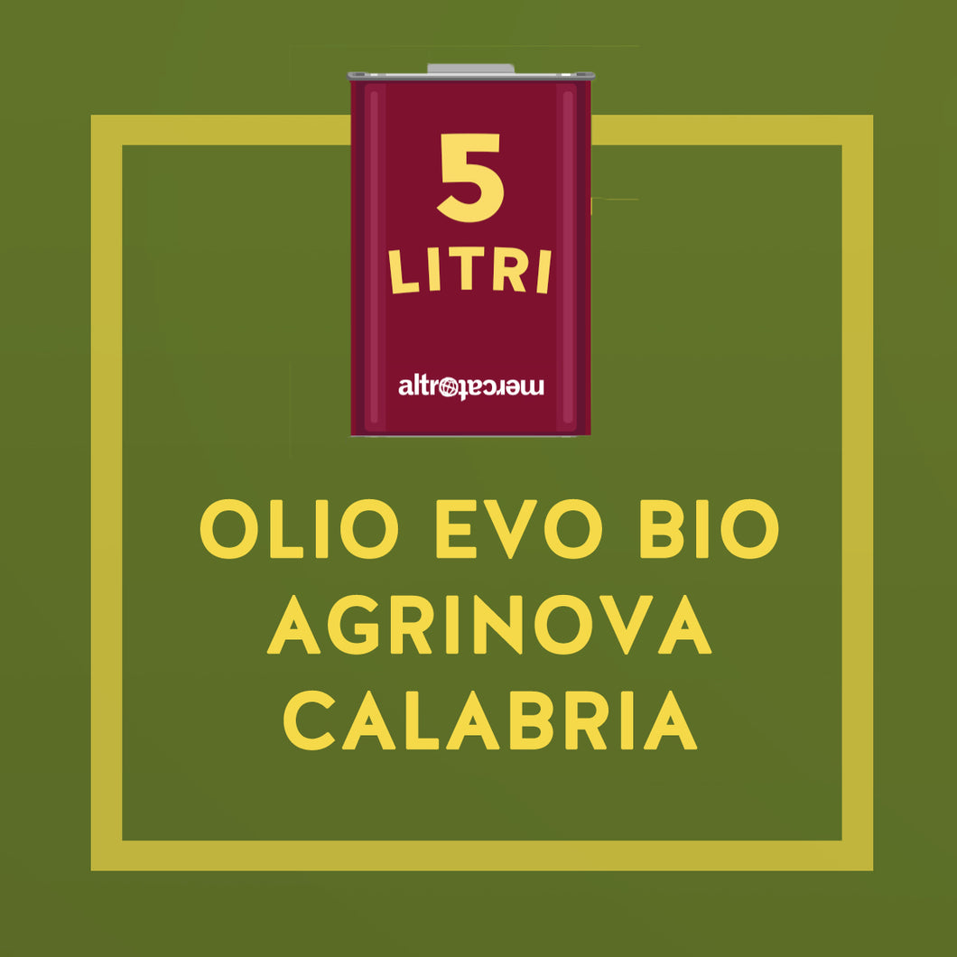 OLIO EXTRA VERGINE D'OLIVA IN LATTA BIO AGRINOVA | COD 895 | 5lt