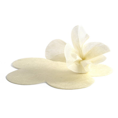 SILK PAPER AVORIO FUSTELLATA FIORE | COD 39548